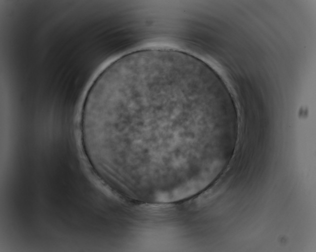 X0000102830864200809021312