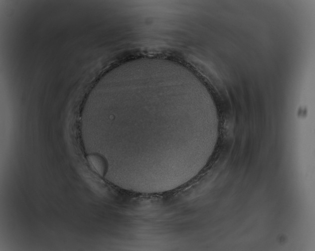 X0000102830865200809021311