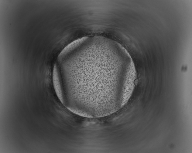 X0000102830866200809021311