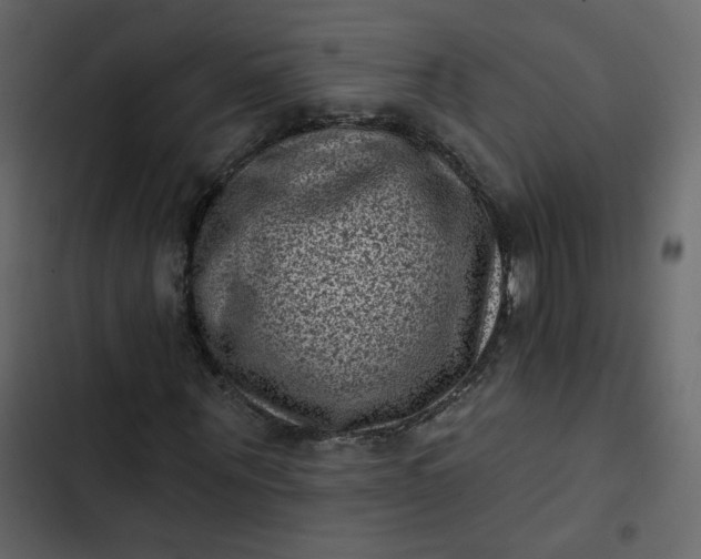 X0000102830867200809021311