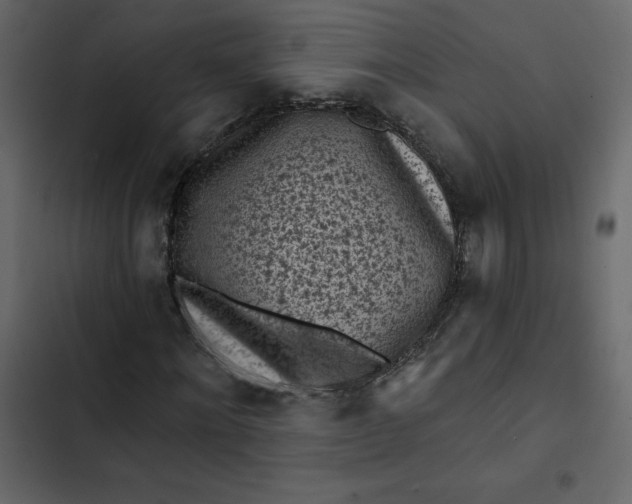 X0000102830868200809021311