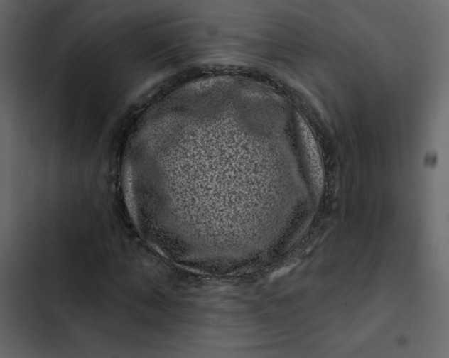 X0000102830870200809021311