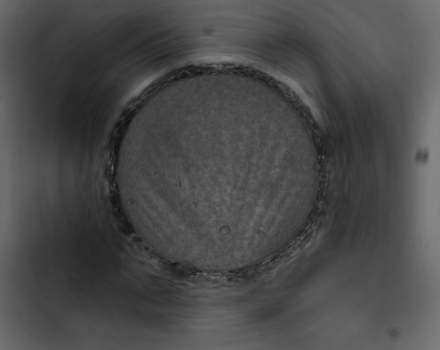 X0000102830871200809021311