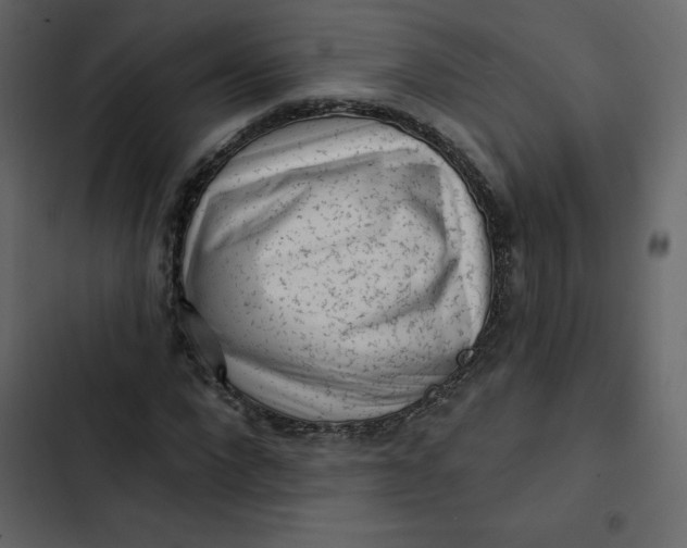 X0000102830872200809021311