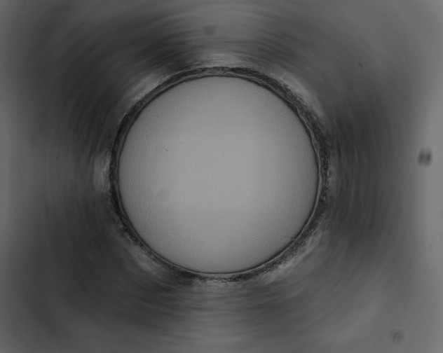 X0000102830873200809021311