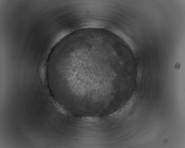 X0000102830874200809021311