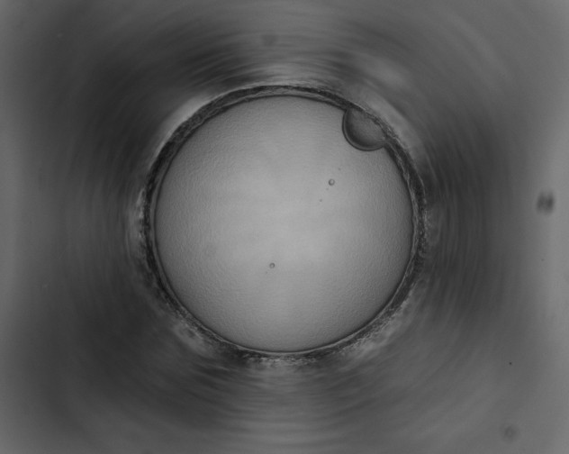 X0000102830875200809021311