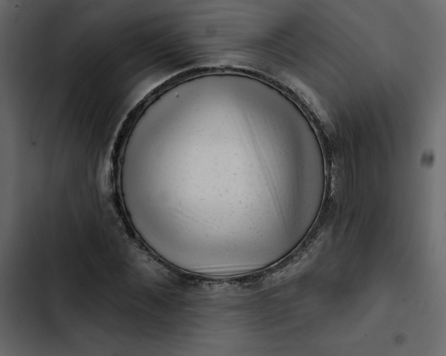 X0000102830876200809021311