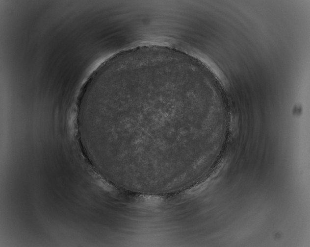 X0000102830878200809021311