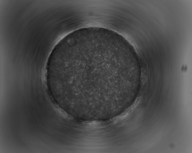 X0000102830879200809021311