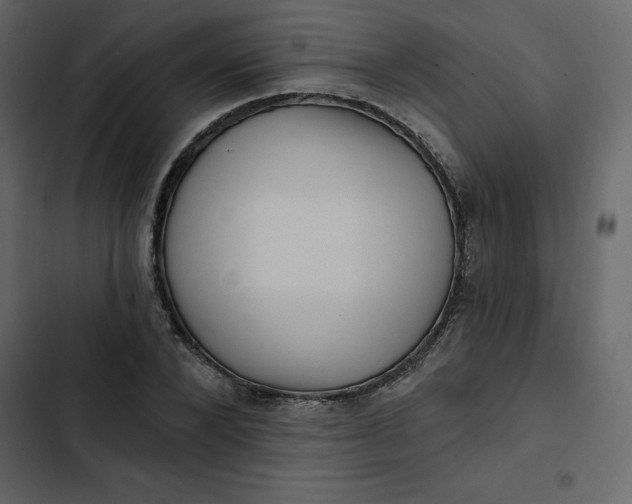 X0000102830880200809021311