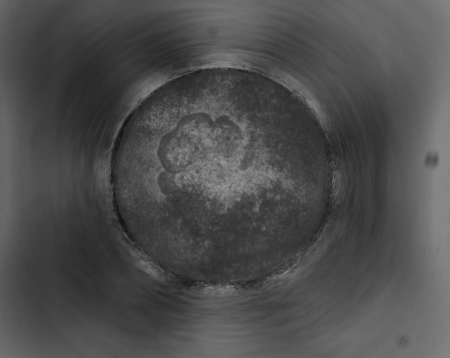 X0000102830882200809021311