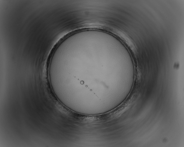 X0000102830883200809021311