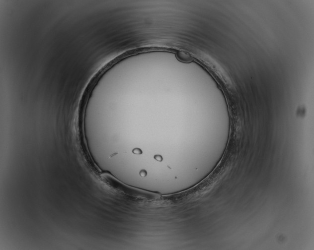 X0000102830884200809021311