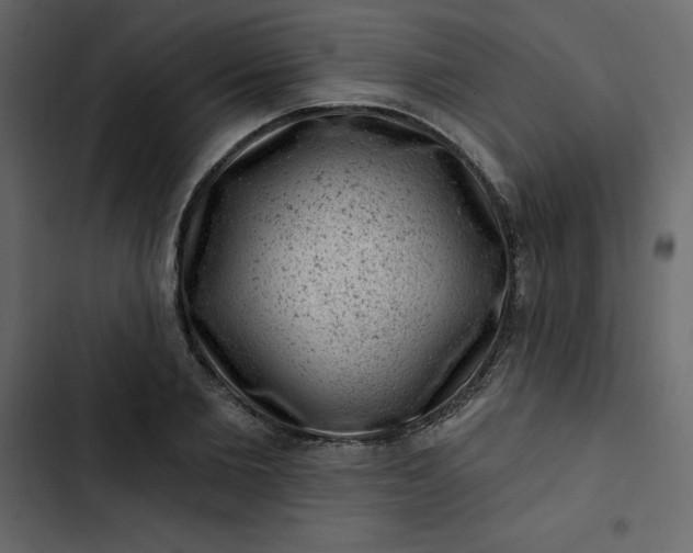 X0000102830885200809021311