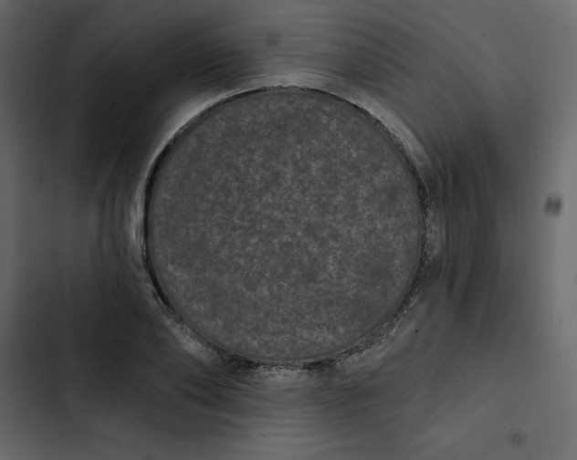 X0000102830886200809021311