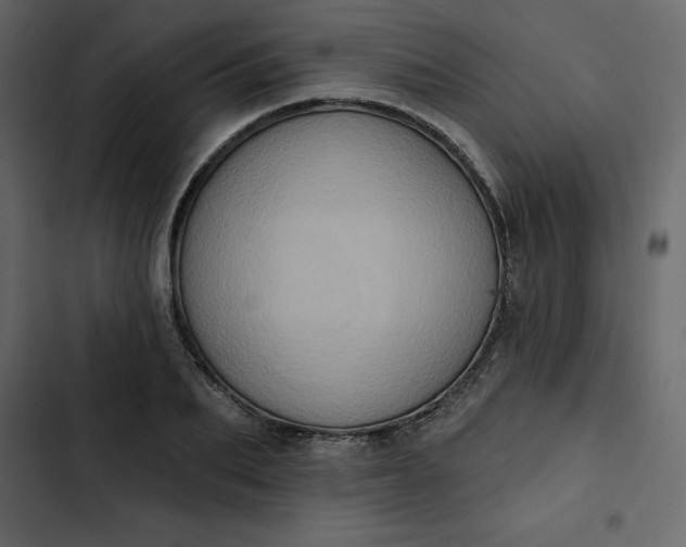 X0000102830887200809021311