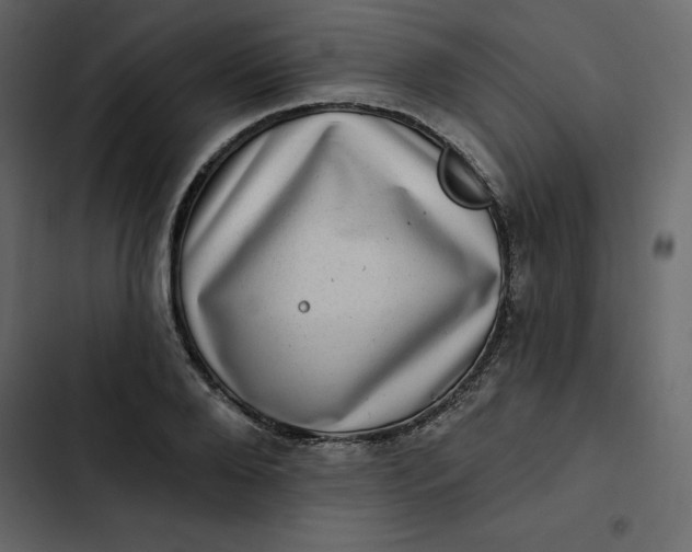 X0000102830888200809021311