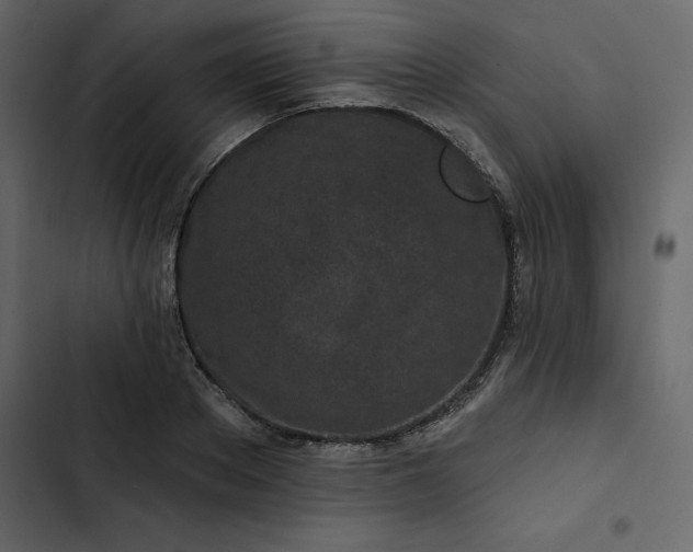 X0000102830889200809021311