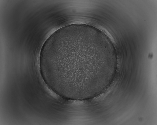 X0000102830890200809021311