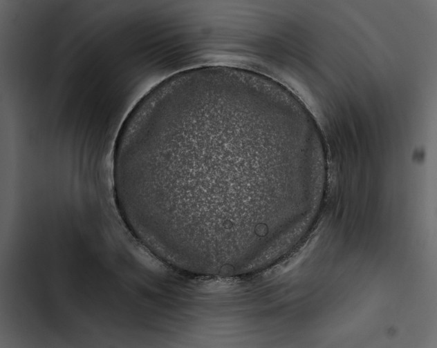 X0000102830891200809021311