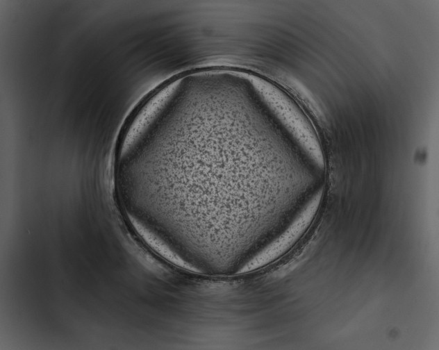 X0000102830892200809021311