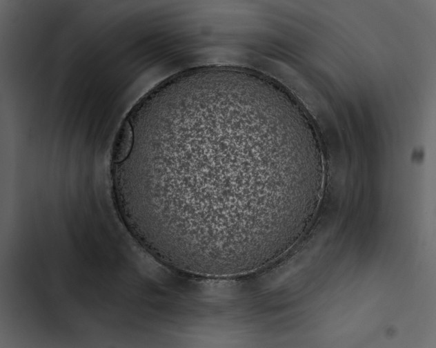 X0000102830893200809021311