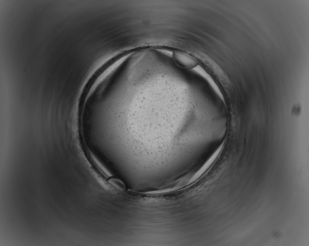 X0000102830894200809021311