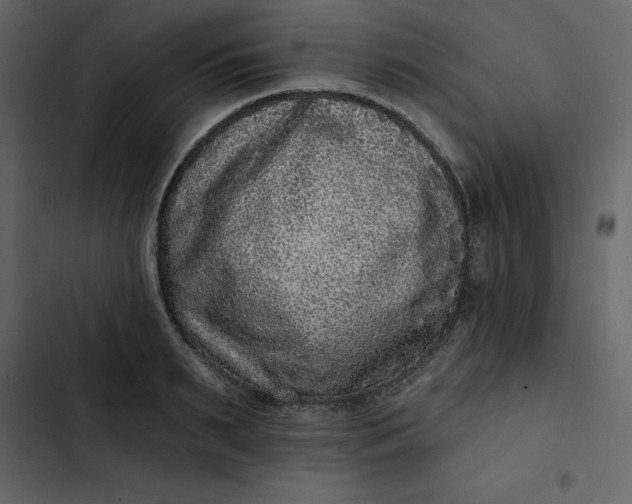 X0000102830895200809021311