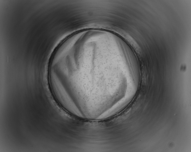 X0000102830896200809021311