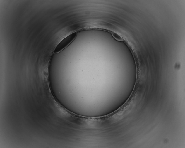 X0000102830897200809021311