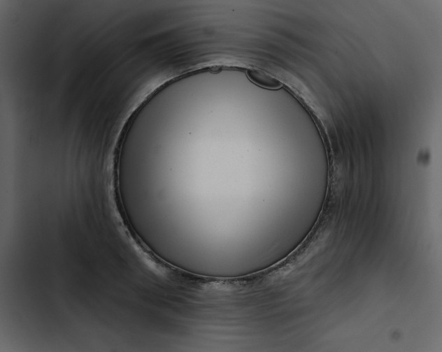 X0000102830898200809021311