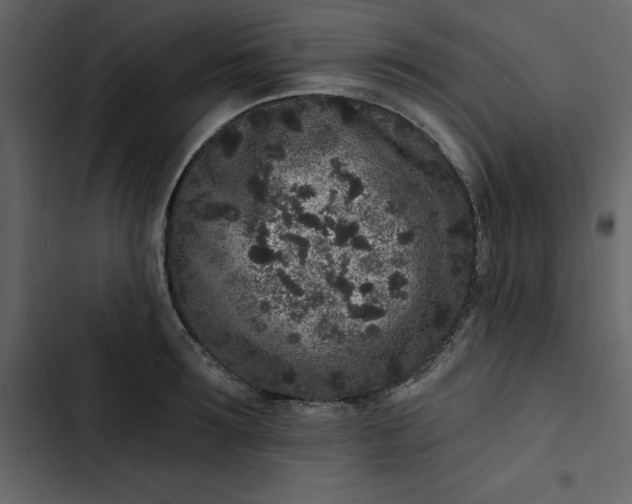 X0000102830899200809021311