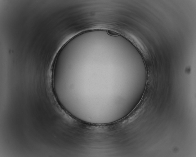 X0000102830900200809021311