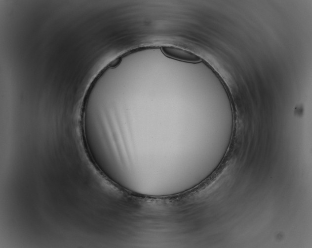 X0000102830901200809021311