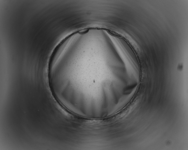 X0000102830902200809021311