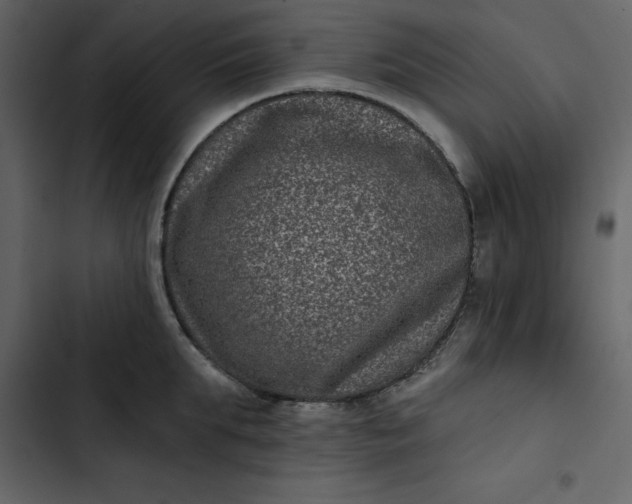 X0000102830903200809021311