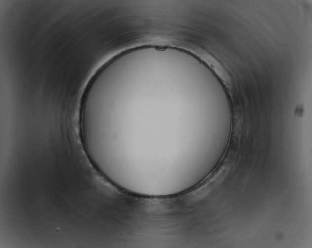 X0000102830904200809021311