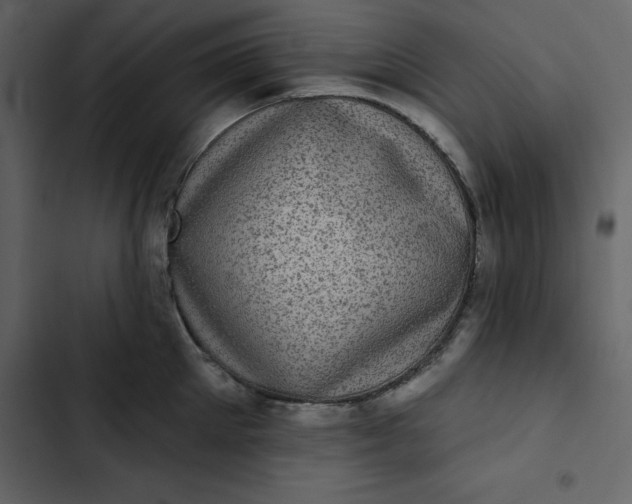 X0000102830905200809021311