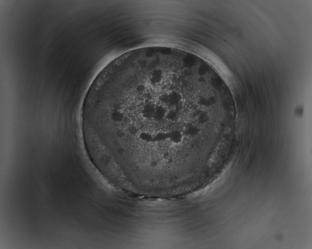 X0000102830907200809021311