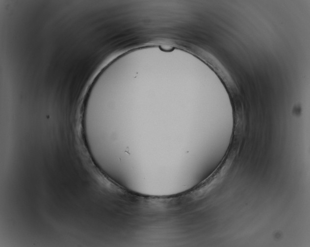 X0000102830908200809021311