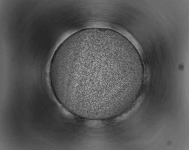 X0000102830909200809021311