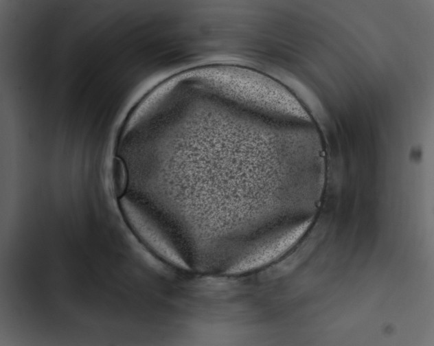 X0000102830910200809021311