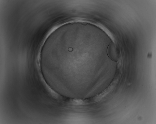 X0000102830911200809021311