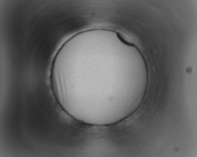 X0000102830912200809021311