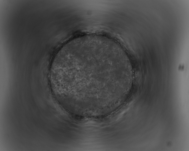 X0000102830913200809021310