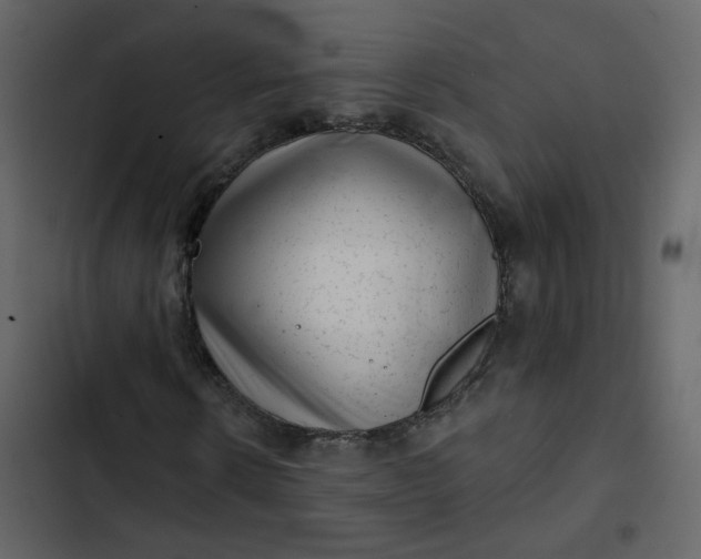 X0000102830914200809021310