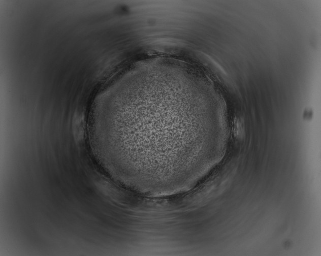 X0000102830915200809021310