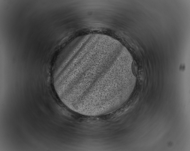 X0000102830916200809021310