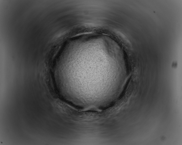 X0000102830917200809021310